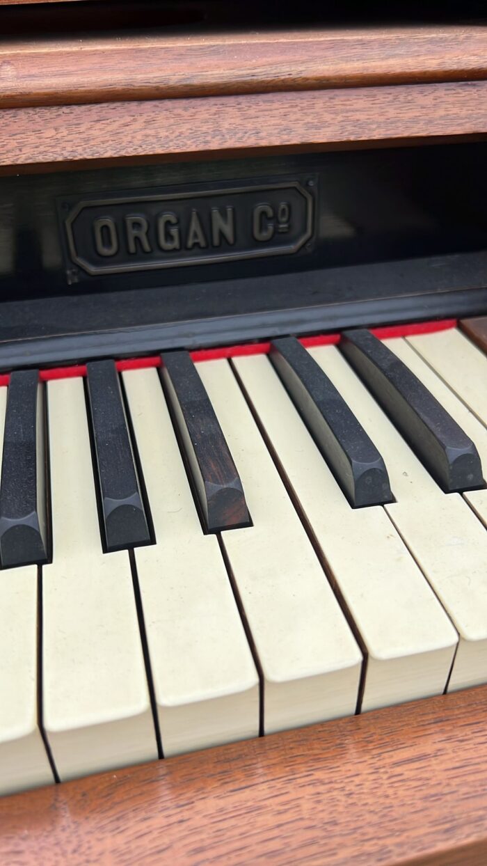 American Organ Co. antiikkiharmonium - Image 6