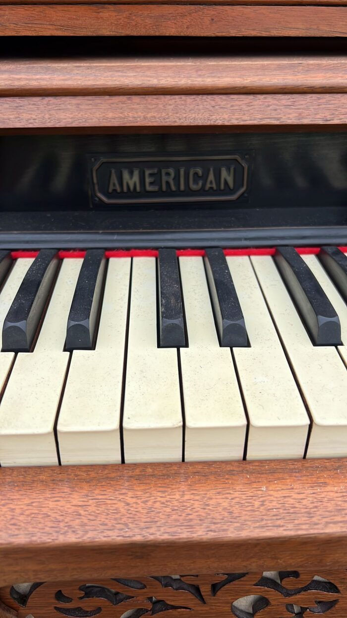 American Organ Co. antiikkiharmonium - Image 7