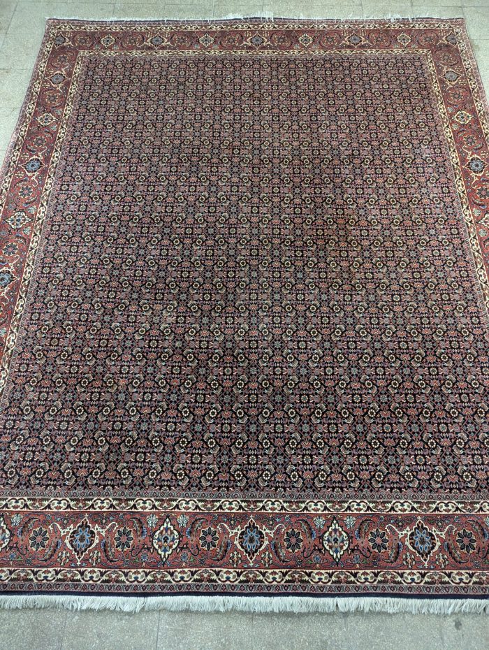 Belgia villavaip 250x300